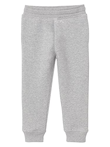Buy Blue Track Pants for Women by Free Authority Online | Ajio.com